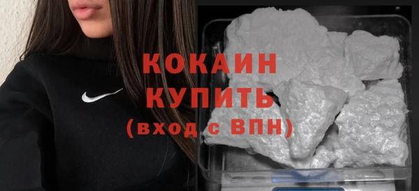 гидра Долгопрудный