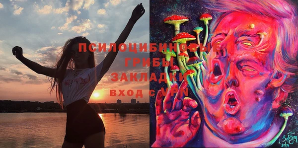 гидра Долгопрудный