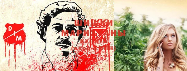 амф Михайлов