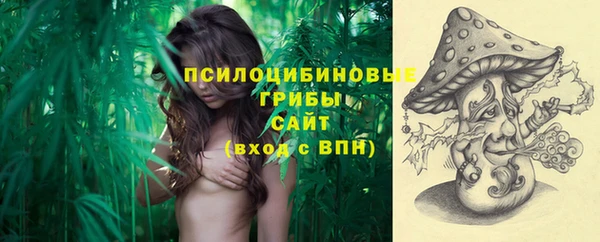 ГАЛЛЮЦИНОГЕННЫЕ ГРИБЫ Михайловка