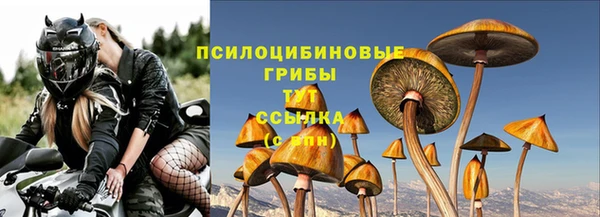 амф Михайлов