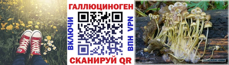 мориарти как зайти  Янаул  Галлюциногенные грибы Psilocybe  закладки 