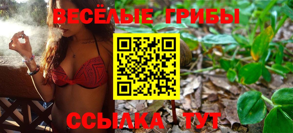 хочу   Псилоцибиновые грибы Psilocybine cubensis  Вход с VPN  Янаул  Галлюциногенные грибы Psilocybe 